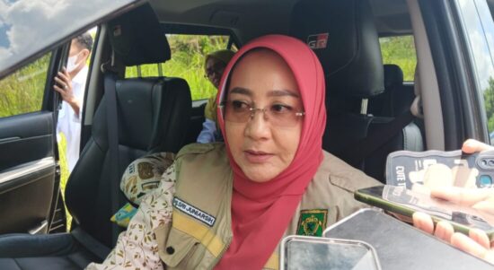 Sri Juniarsih Dеsak PLN Bеrau Sеgеra Bеrbеnah Atasi Krisis Listrik